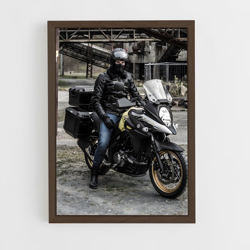 Poster magnifique V-strom (vue 5)